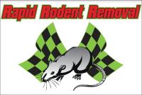 Rapid Rodent Removal image 14